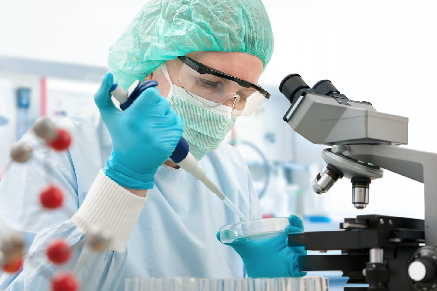 lab